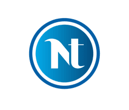 Netamind Logo