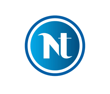 Netamind Logo